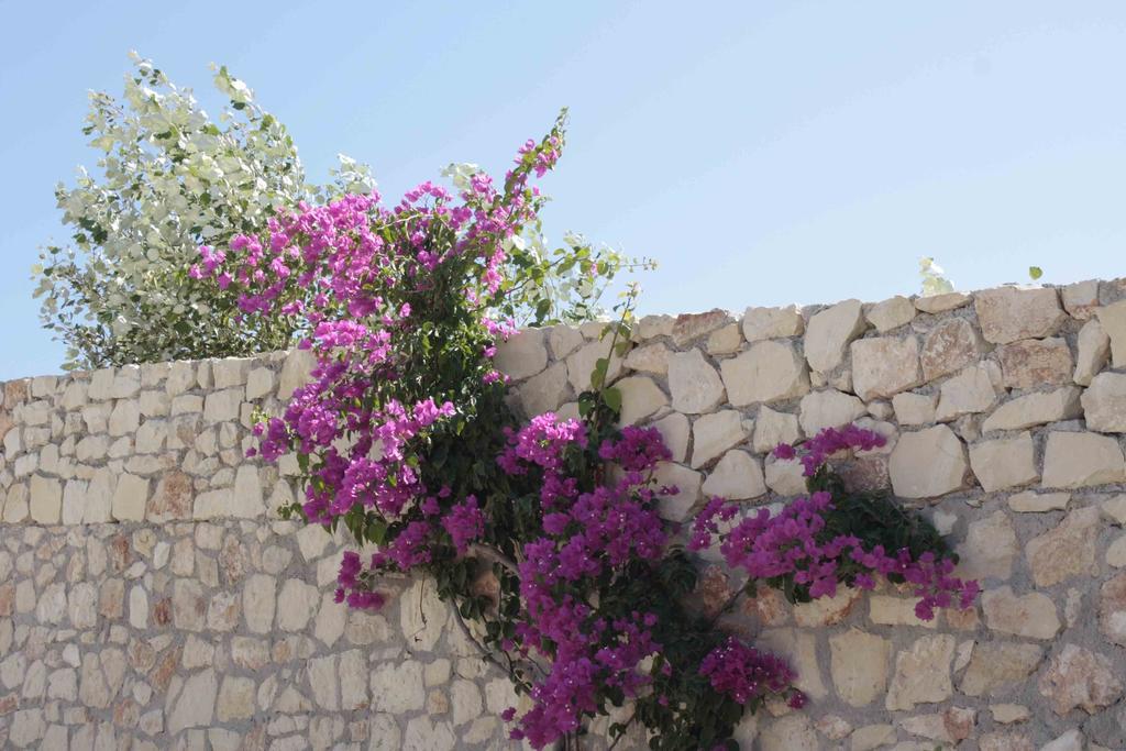 Crete View Villa Marathi  Room photo